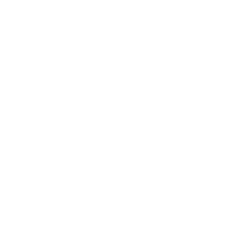 蜘蛛の巣【ホワイト】