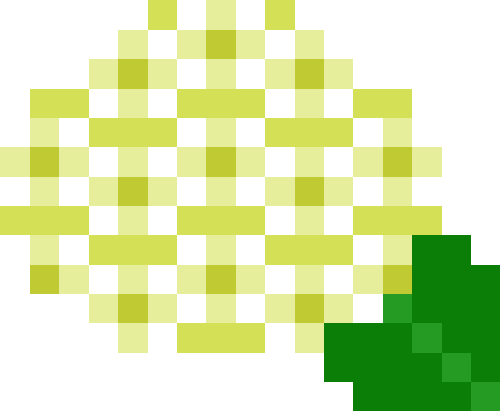 紫陽花【グリーン】