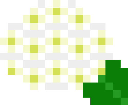 紫陽花【ホワイト】