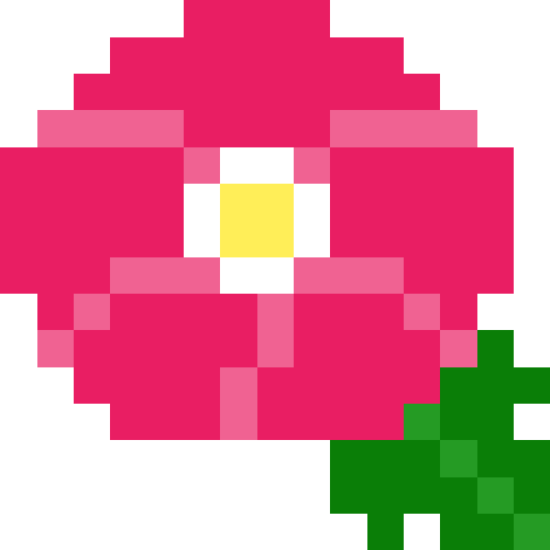 朝顔【ピンク】