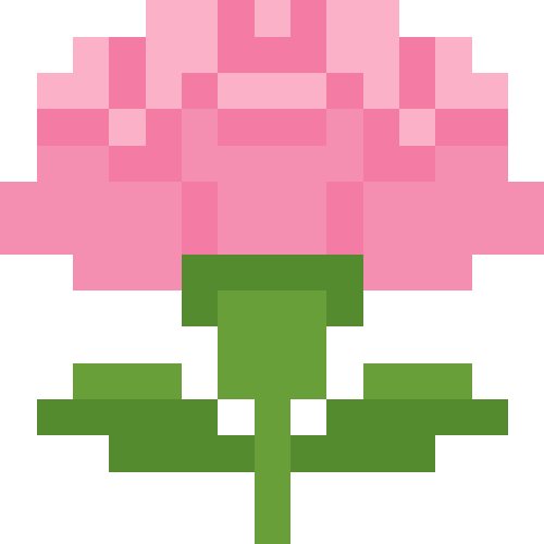 カーネーション【ピンク】