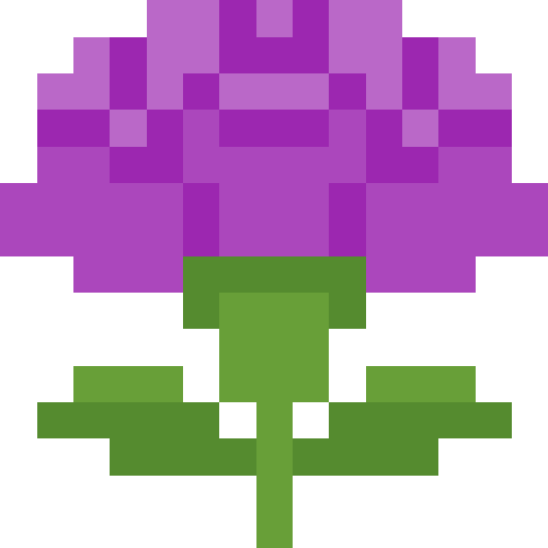 カーネーション【パープル】