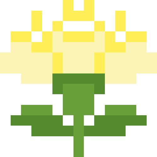 カーネーション【ホワイト】