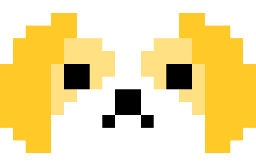 シーズー01（ホワイト＆ゴールド/ハニー）