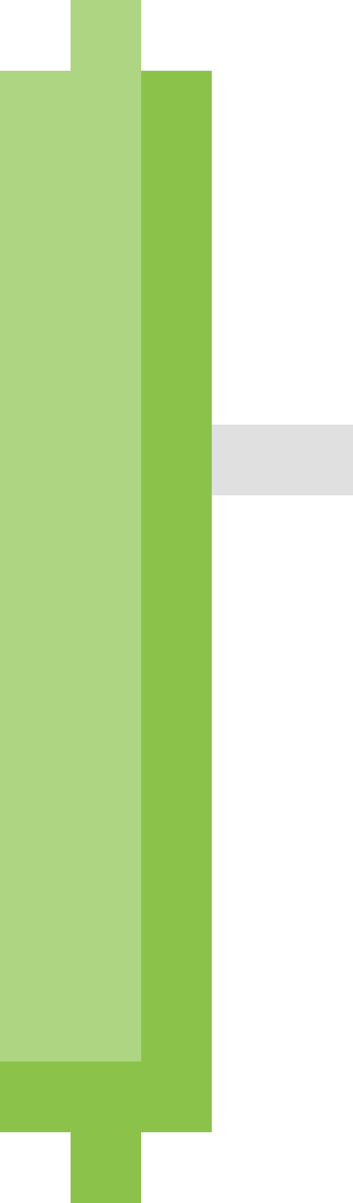 歯ブラシ【グリーン】