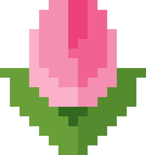 チューリップ【ピンク】