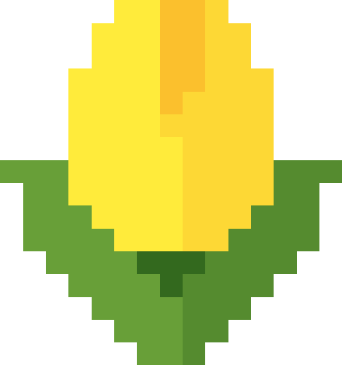 チューリップ【イエロー】